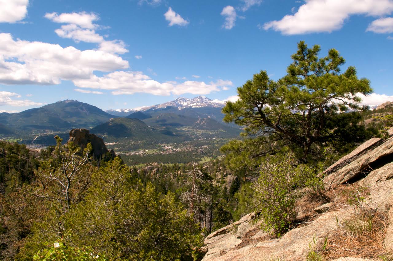 longs long view.jpg