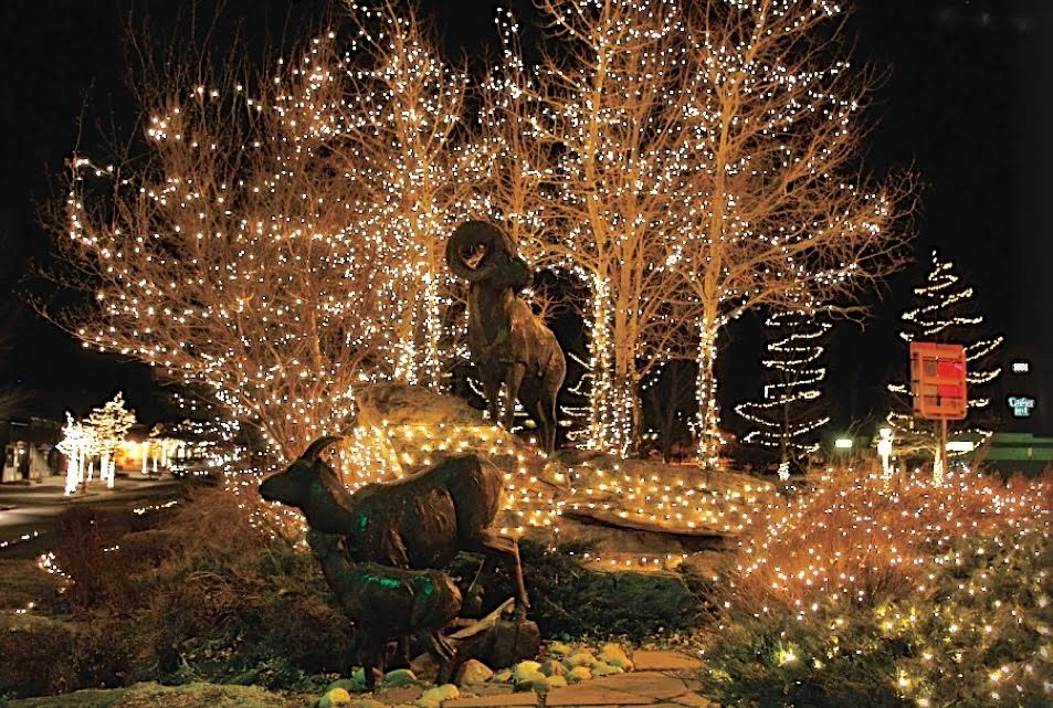 sheep statues christmas.jpg