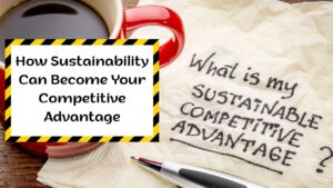 How Sustainability Can Become Your Competitive Advantage